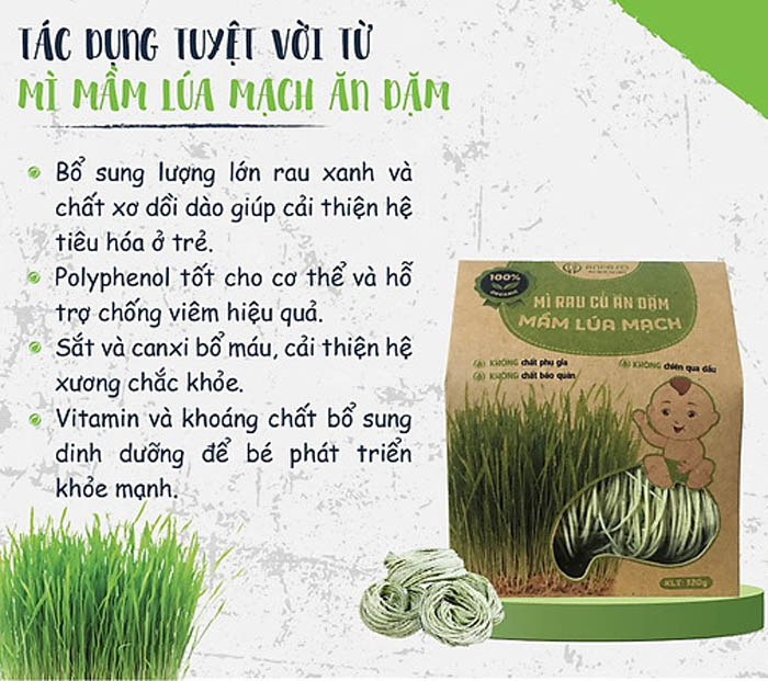 Mì Mầm Lúa Mạch Ăn Dặm Organic Anpaso 300g 1