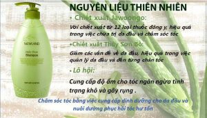 DẦU GỘI NEWLAND ( Daily Clean Shampoo ) 1