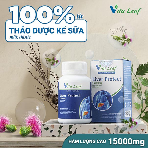 giai-phap-vang-cho-la-gan-khoe-manh-tu-liver