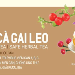 Trà Cà Gai Leo - Bảo Vệ Lá Gan - Ảnh 2