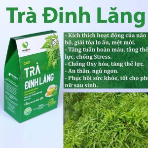 tra-dinh-lang-1