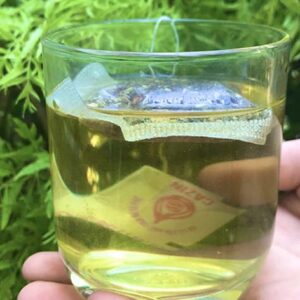 Trà Đinh Lăng - Ảnh 4