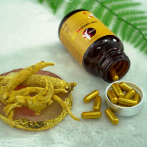 CND GINSENG Gold Viên nhân sâm - Nâng tầm sức khỏe - Ảnh 3