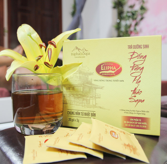Trà dưỡng sinh Đông trùng hạ thảo Sapa 1