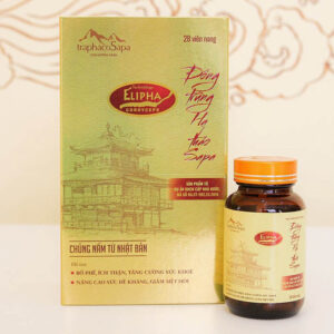 Viên nang Đông trùng hạ thảo Sapa 28 viên - Ảnh 2