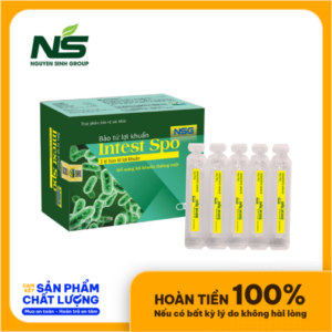 Bào tử lợi khuẩn Intest Spo Plus