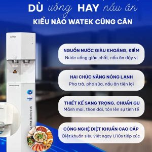 Máy lọc nước nóng lạnh Watek Model WT-4200-RO - Ảnh 3