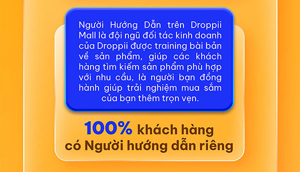 droppii-mall-viet-nam-2