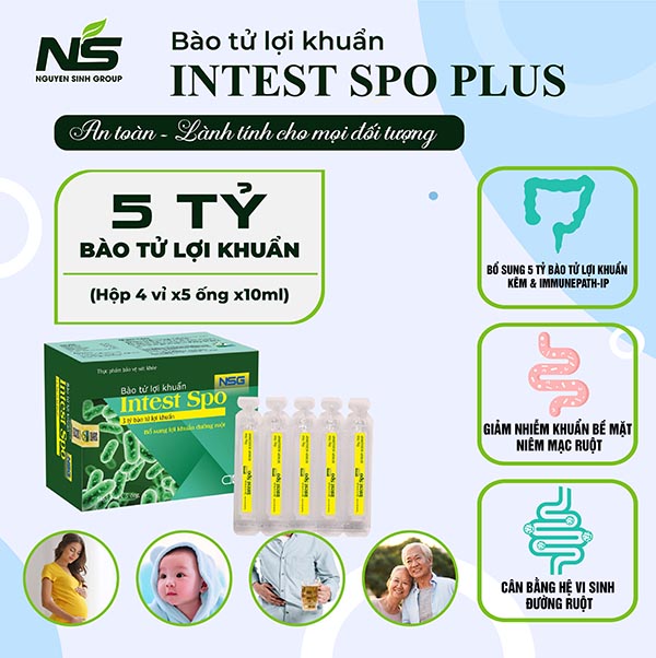 bao-tu-loi-khuan-intest-spo-plus-2