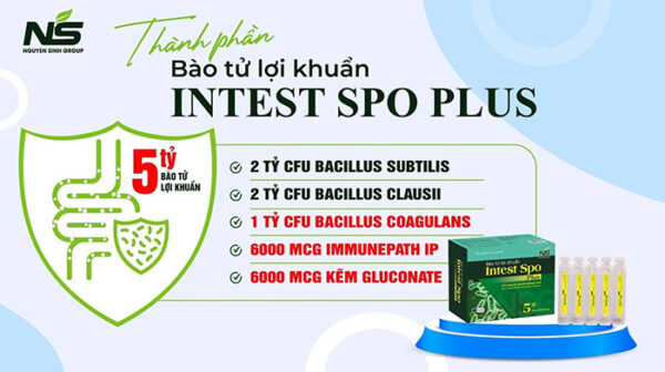 bao-tu-loi-khuan-intest-spo-plus-3