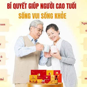 CND GINSENG Red Hộp 07 gói - Bí quyết lấy lại sinh lực phái mạnh - Ảnh 3