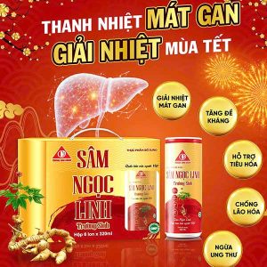 Sâm Ngọc Linh hộp 06 lon - Bí mật cho sức khỏe dẻo dai