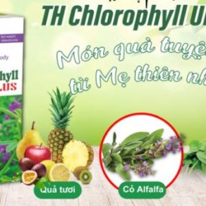 TH-Chlorophyll UIE Plus - Bí quyết gì để cơ thể luôn khỏe mạnh? - Ảnh 3