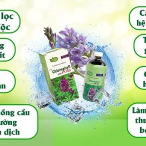 TH-Chlorophyll UIE Plus - Bí quyết gì để cơ thể luôn khỏe mạnh? - Ảnh 2