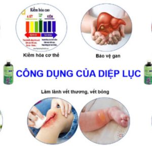 TH-Chlorophyll UIE Plus - Bí quyết gì để cơ thể luôn khỏe mạnh? - Ảnh 4