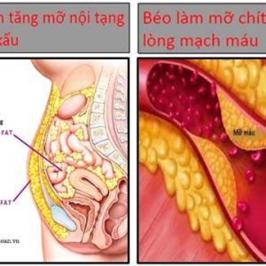 TH Mealtox GOLD - Bí quyết vàng cho vóc dáng thon gọn và sức khỏe dồi dào - Ảnh 4