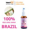 keo ong xanh tracybee dang xit vi trai cay