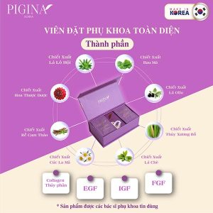 Vệ sinh phụ nữ cao cấp Pigina 18 gói –"Bảo bối" bỏ túi tiện lợi cho nàng hiện đại - Ảnh 2