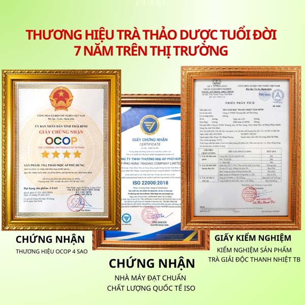 tra-giai-doc-thanh-nhiet-thai-binh-6