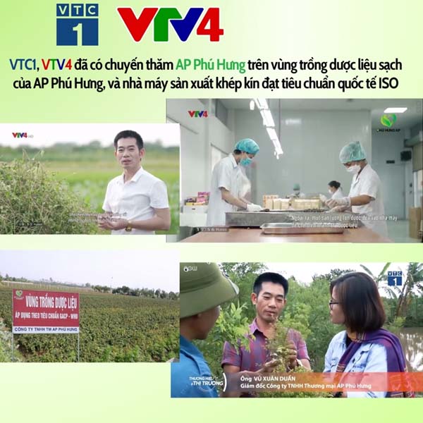 tra-giai-doc-thanh-nhiet-thai-binh-8