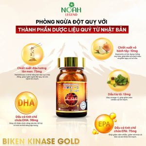 Thực phẩm bảo vệ sức khỏe BIKEN KINASE GOLD - Ảnh 2