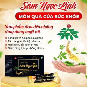 Thực phẩm bổ sung dịch chiết Sâm Ngọc Linh - Ảnh 2