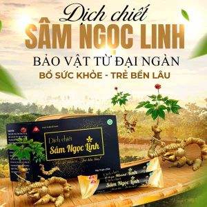 Thực phẩm bổ sung dịch chiết Sâm Ngọc Linh - Ảnh 5