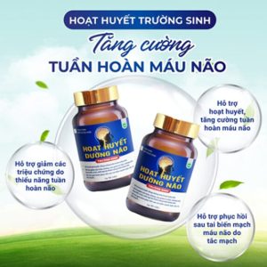 Hoạt huyết dưỡng não Trường Sinh - Hỗ Trợ Tuần Hoàn Não Khỏe Mạnh - Ảnh 2