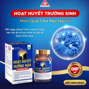 Hoạt huyết dưỡng não Trường Sinh - Hỗ Trợ Tuần Hoàn Não Khỏe Mạnh - Ảnh 3