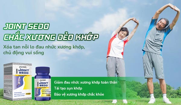 nmi-joint-sedo-1