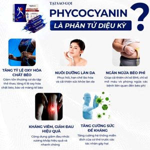 KIT Mini PHYCO SPIRULYSAT & CUIVRE - Ảnh 3