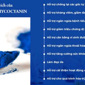 KIT Mini PHYCO SPIRULYSAT & CUIVRE - Ảnh 5