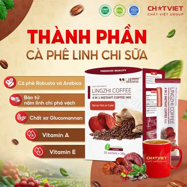 ca-phe-bao-tu-linh-chi-pha-vach-7 ca-phe-bao-tu-linh-chi-pha-vach-7