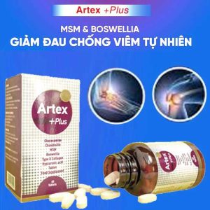 Viên Uống Artex Plus - "Cứu Tinh" Xương Khớp Từ Thổ Nhĩ Kỳ 9 Viên Uống Artex Plus - "Cứu Tinh" Xương Khớp Từ Thổ Nhĩ Kỳ - Ảnh 3