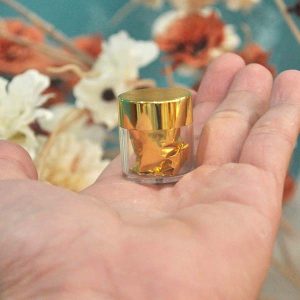 Ginseng Berry S Pill hộp nhỏ 5 viên - Hỗ Trợ Chống Đột Quỵ - Ảnh 5