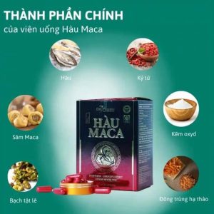 Hàu Maca - Giải Pháp Hỗ Trợ Sinh Lý Nam Giới Toàn Diện - Ảnh 4